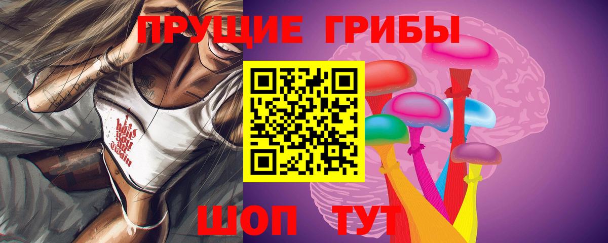 купить закладку  Вход с VPN  Острогожск  Галлюциногенные грибы Psilocybe 